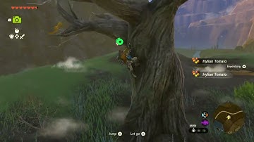 [DAY 184] of finding one korok seed in TotK everyday until a new Zelda game comes out