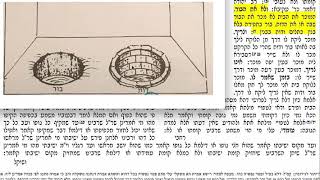 דף יומי מסכת ערכין דף יט Daf hayomi Arachindaf 19