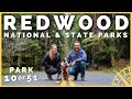 🌳🪄 Redwood NP: Magical, Mystical Trees, &amp; So Much More! | 51 Parks with the Newstates