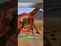 ¡Escape IMPOSIBLE! Jirafa vs Manada de Leonas #animals