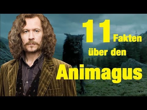 Video: Wie spricht man Animagus aus?