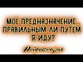 Моё предназначение... Правильным ли путём я иду? | Таро онлайн | Расклад Таро | Гадание Онлайн