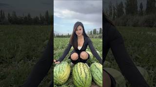 Enjoy With Rural Life And Harvest All Kinds Of Fruits