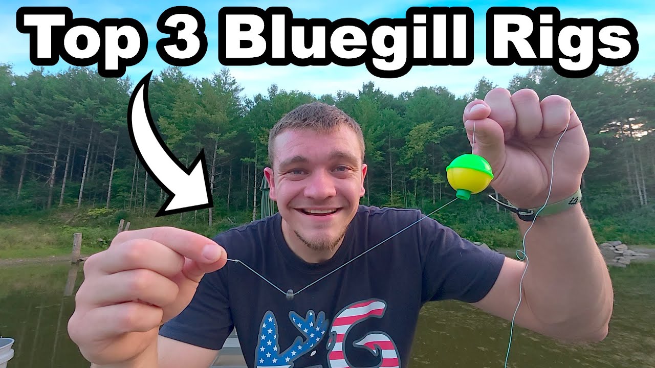 Top 3 Bluegill Fishing Rigs for Beginners! - YouTube