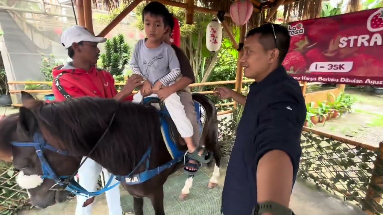 Naik kuda di Lembang 