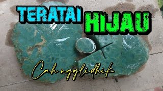 TERATAI HIJAU