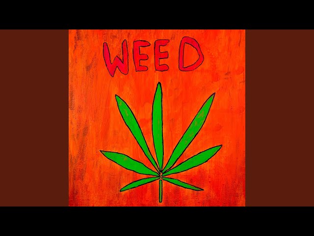 Weed Is My Best Friend class=