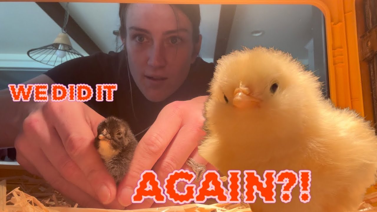 Therapy - for his body and his soul! Frankie is GOING STRONG! 