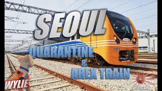 Arrival Dog Quarantine In Korea Arex Train To Seoul With A Dog