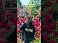 Trending VN Template qr code | VN Code QR #vncode template#viralvideo#shorts#vn#vncode#vnvideoeditor