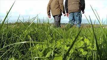 Agricultural Catchments Programme: Experimental Design