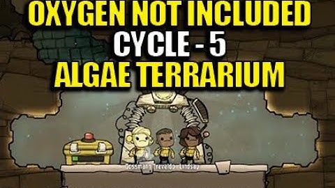 Oxygen Not Included Cycle 5 - Algae Terrarium