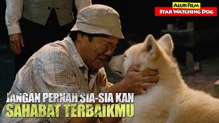 Terimakasih Atas Kesetiaanmu... | Alur Cerita Film STAR WATCHING DOG (2011)