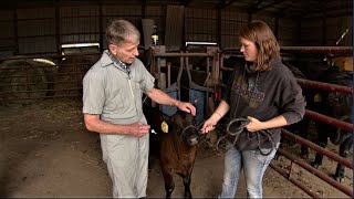 Rural county's only veterinarian offers to give away his practice, clinic & pickup to replacement screenshot 5