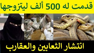 فتاة سعودية تقدم  لشاب مصري 500 ألف ليتزوجها ورفض وانتشار الثعابين على المصريين