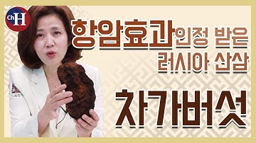 항암식품으로 알려진 러시아 산삼 