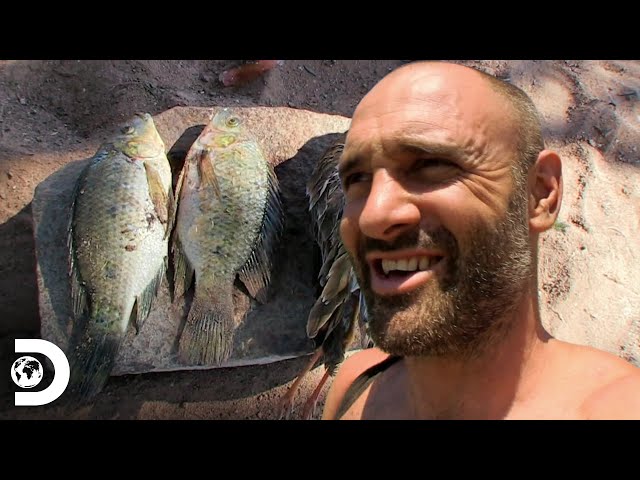 Ed monta armadilhas para caçar pássaros e peixes | Ed Stafford, o sobrevivente | Discovery Brasil class=