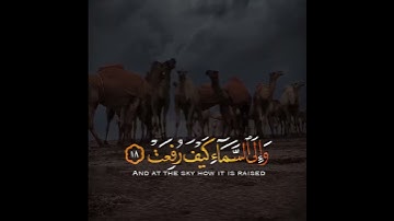 تلاوة هادئة وقصيرة  || القارئ : عبد الله الموسئ || سورة : الغاشية 🌷💚🌷