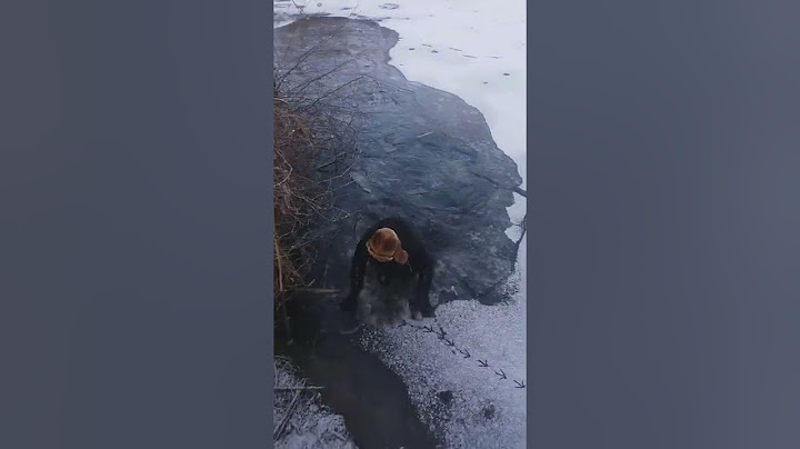 у нас в селе Кислици уже открыли купательный сезон🤣🤣😂