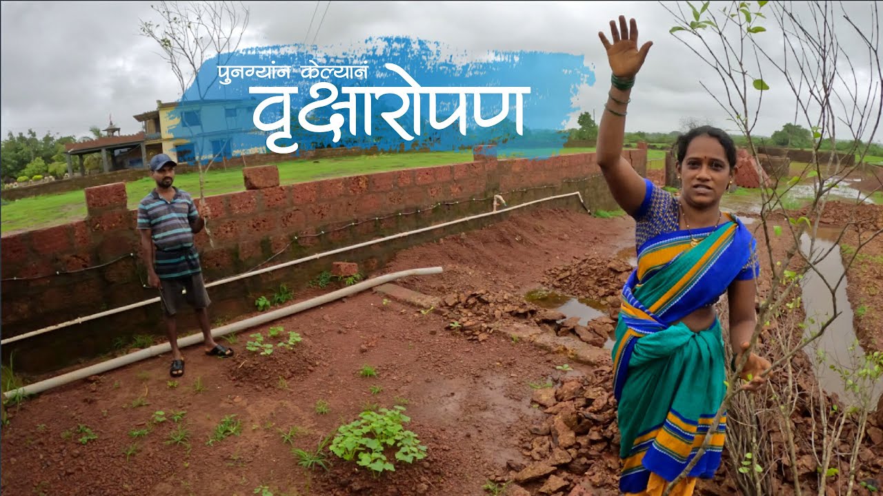 पुनग्याच्या केल्यानं दाभोळयातला वृक्षरोपण विनून केल्यानं फक्त तोंडाची बकबक | मालवणी खुळगो KokanVlog