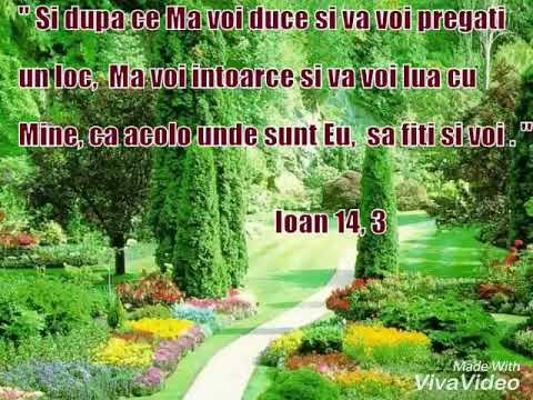 Beni Carciu muzica de petrecere