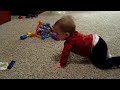 Reece is crawling!