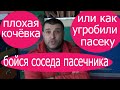 Погибли пчёлы. Полегла пасека 60 семей. Пчеловодство. Пчелы . Пасека .