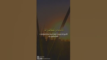 من سورة النحل/پښتو ترجمه/قاري عبدالرحمن مسعد/ahsanullah Forqanyar #quran #subscribe #explore #viral