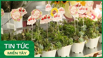 Đa dạng sản phẩm hoa mừng Ngày Nhà giáo Việt Nam 20/11 | THDT