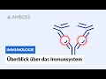 Überblick über das unspezifische und spezifische Immunsystem -- Immunologie -- AMBOSS Video