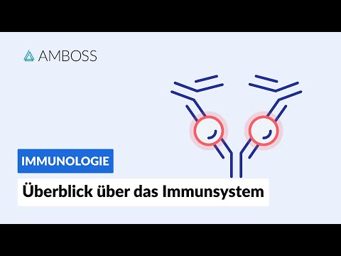 Video: Neue Mechanismen Der Immunregulation: Die Erweiterte B7-Familie Und Regulatorische T-Zellen