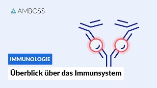 Überblick über das unspezifische und spezifische Immunsystem -- Immunologie -- AMBOSS Video
