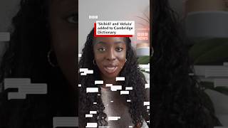 Skibidi, Delulu And Thousands Of Other New Words To Be Added To Cambridge Dictionary.