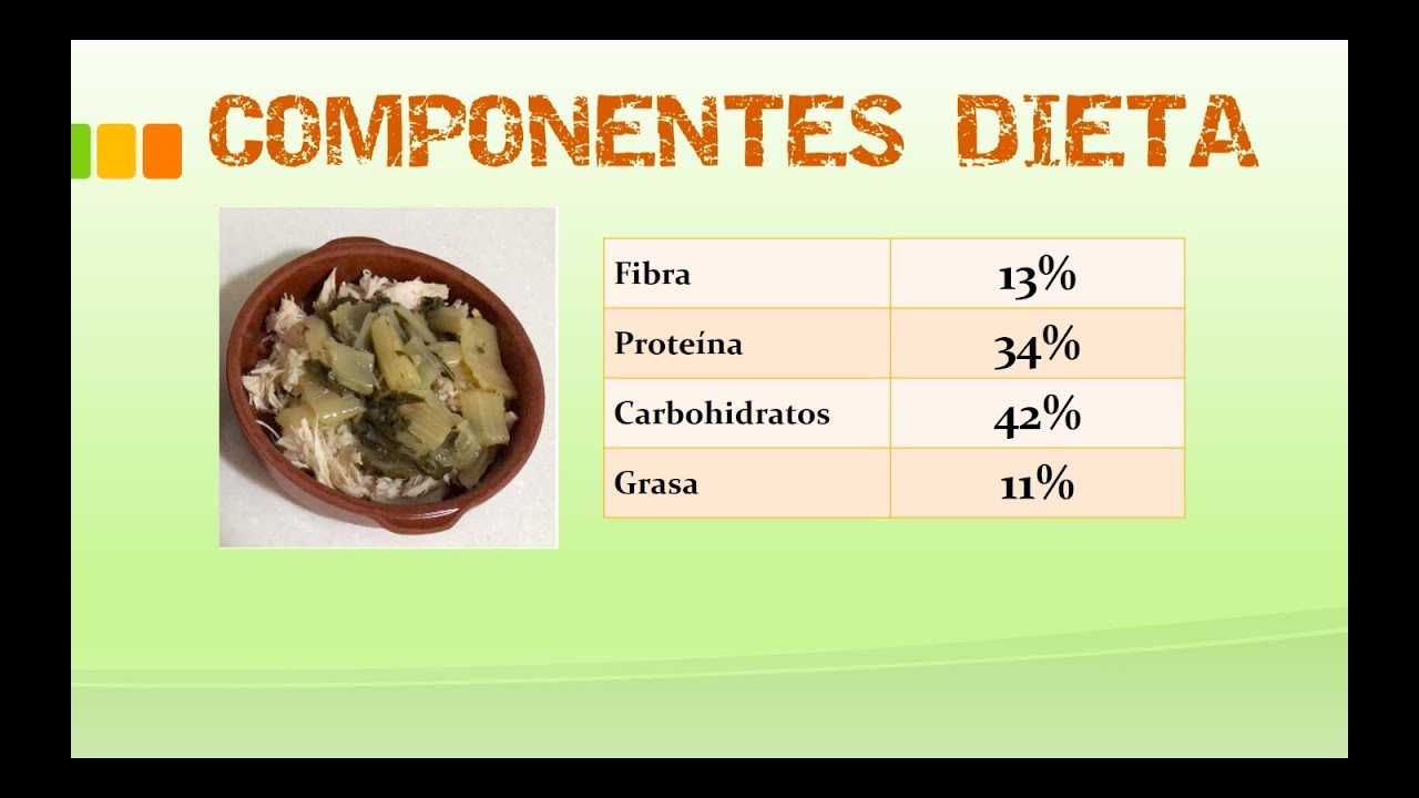 Comida casera- Dieta Perro Diabético (Nutrientes) - YouTube