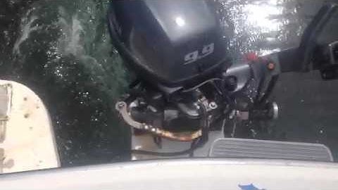 Powrtran Python Dickenson