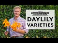 Daylily Varieties