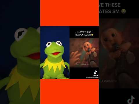 Videó: Pet Scoop: Esküvői gyűrű talált hónapok kölyök után, új béka úgy néz ki, mint Kermit