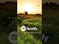 Ambient Dreamfields - Center Point
