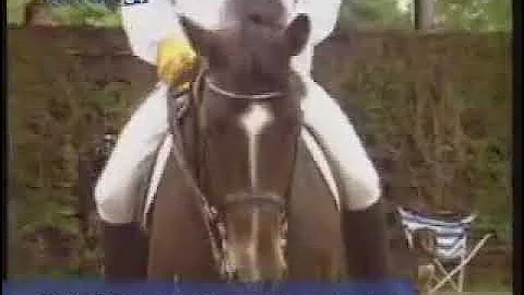 The school of the horse - Rudolf Zeilinger