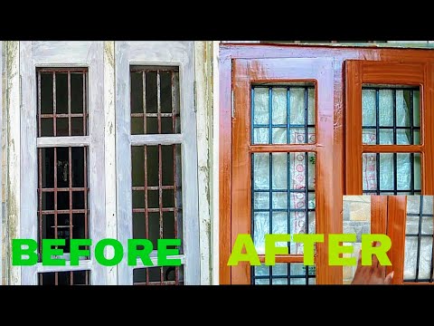 वीडियो: क्रोटन - खिड़की पर रंग का वैभव