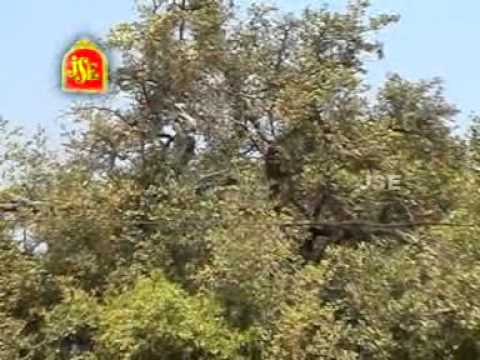  Chowdamma Challani Thalli  History Of Sri Chowdeshwari Devi Temple  Nandavaram  Jayasindoor