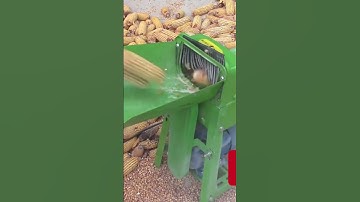 Multifunctional Electrically Powered Corn 🌽 Threshing Machine #shortviral #machine