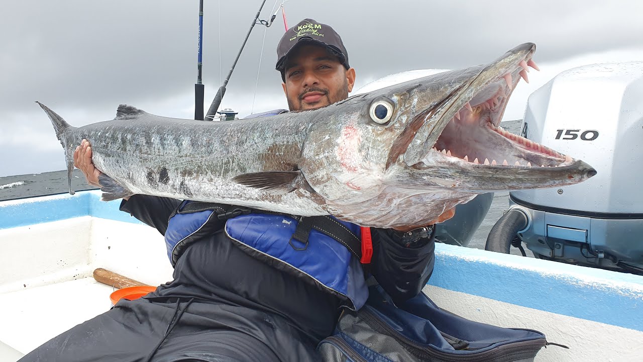 DEEP SEA HANDLINE FISHING - HUGEEE BARRACUDA CAUGHT - 25 Miles Offshore -  Trinidad, Caribbean 