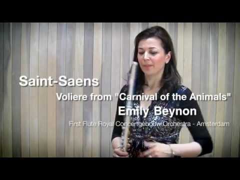 Saint Saens - Voliere from the Carnival of the Animals flute solo demonstrated by Emily Beynon