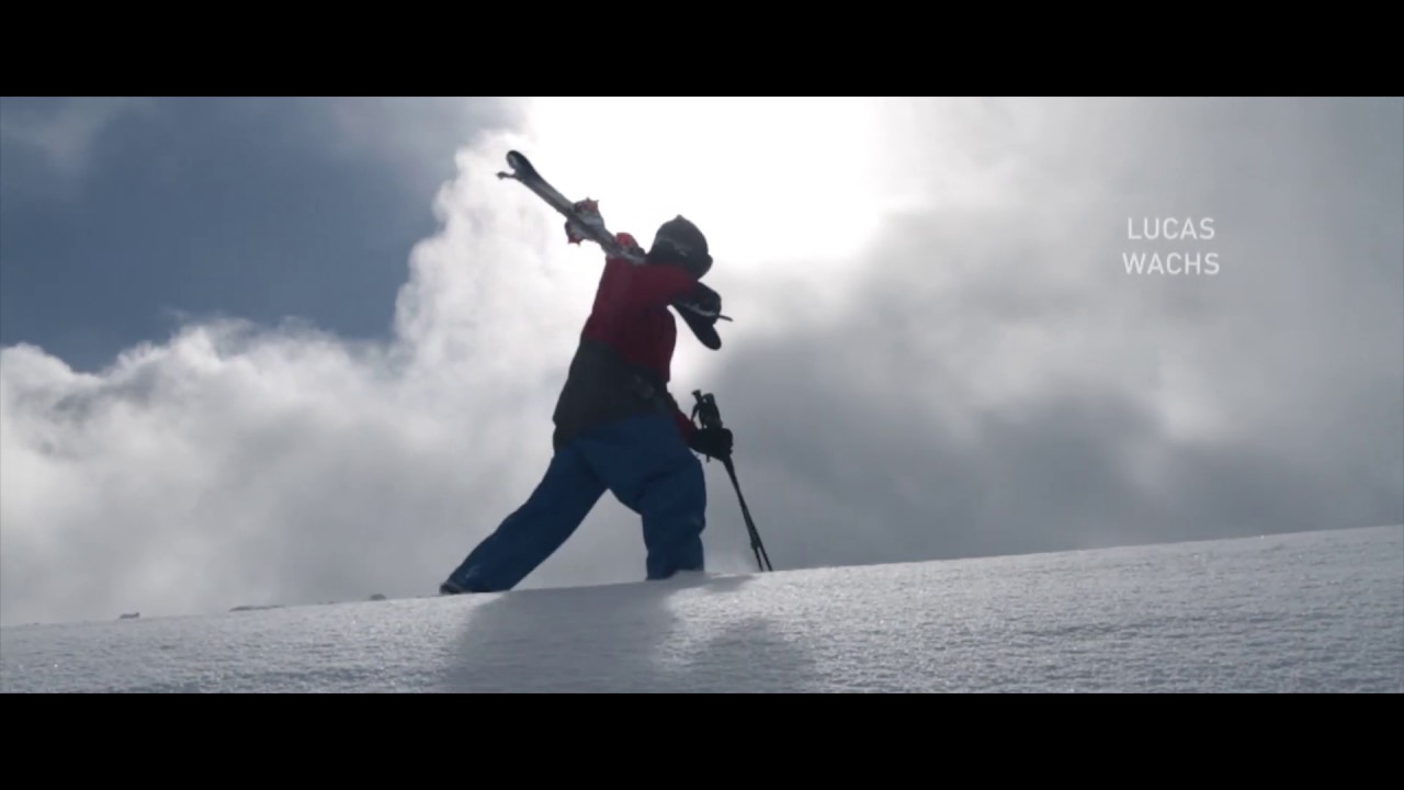 Lucas Wachs || All Damn Day