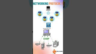 This Protocol Manages Your Entire Network! 😱  #viralshorts#trending#explorepage