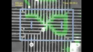 Aa4Cc Response To The 2012 Nist Microrobotics Challenge