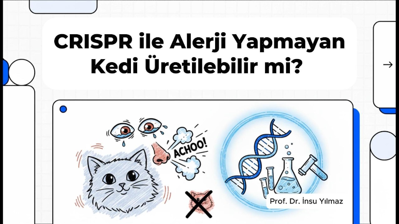 CRISPR ile Alerji Yapmayan Kedi Üretilebilir mi?