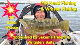 Gilt Head Bream Fishing Wrasse Fishing Small Boat Fishing Raymarine Garmin Southcoast United Kingdom