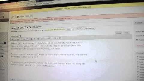 Guía para insertar videos en un blog de WordPress